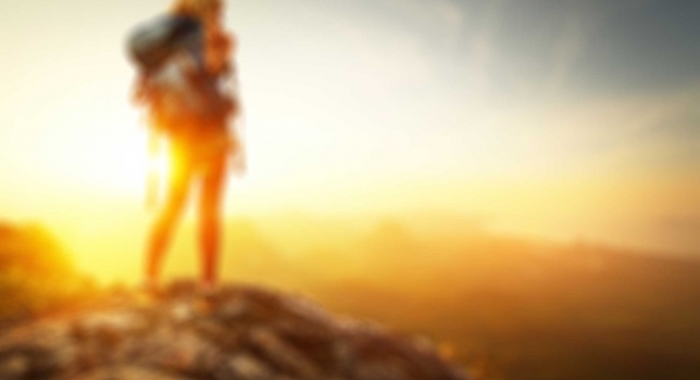 Lectus Ante Tincidunt