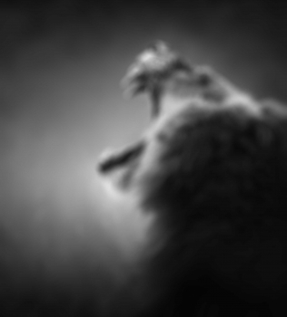 Pellentesque Mollis Condimentum